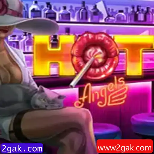 Explorando o Mundo Envolvente de HotAngels